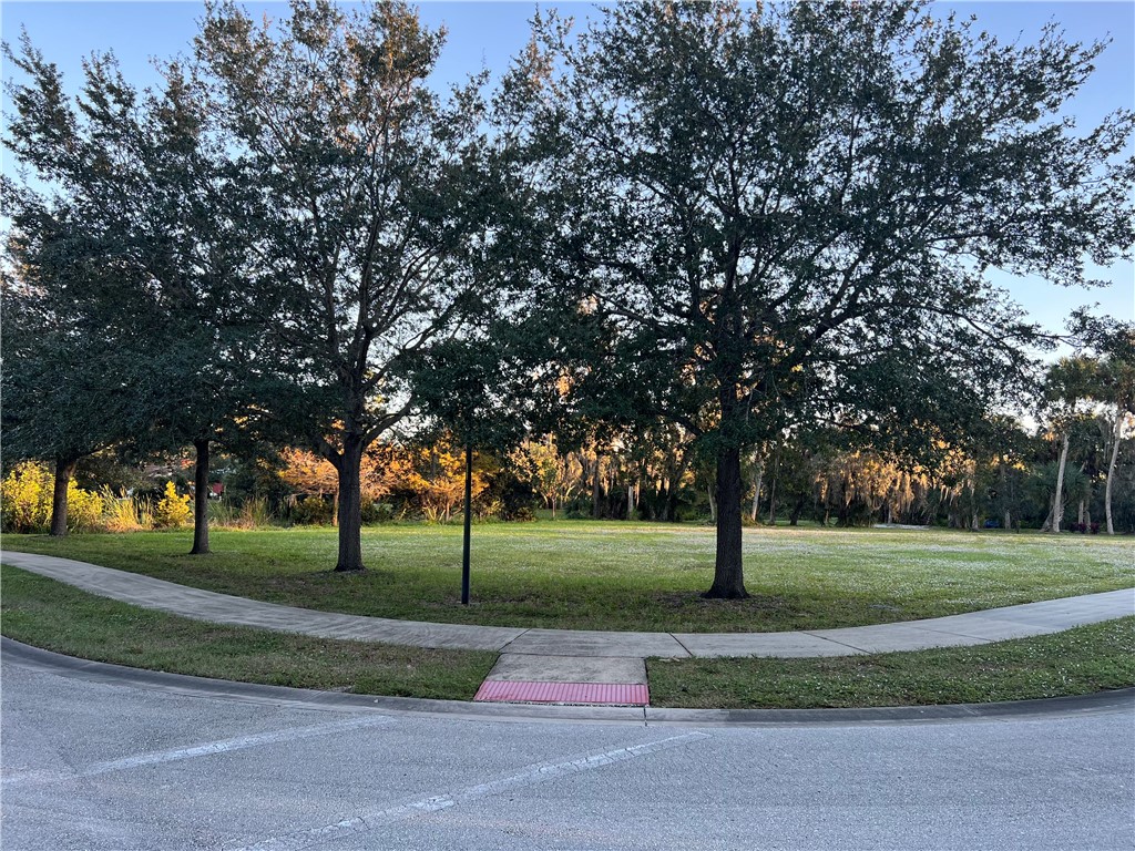 a view of a park with tree s