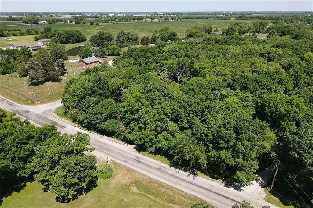 a view of a forest with a street