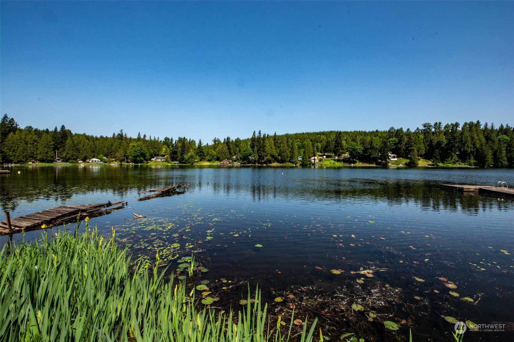 a view of a lake with houses in background