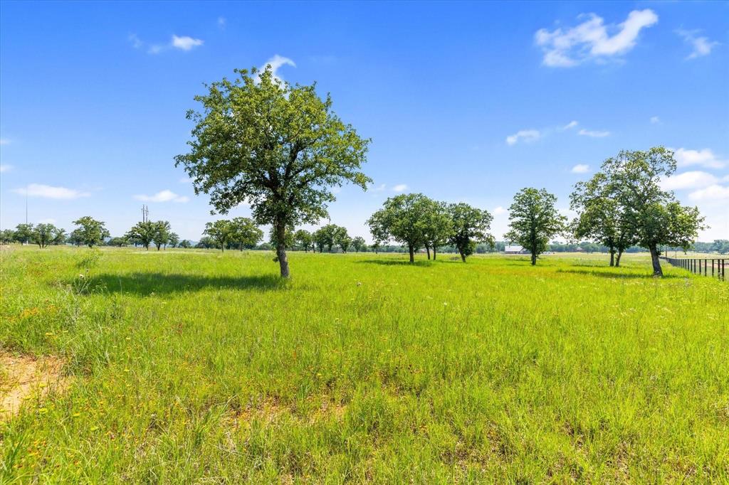 a view of green field with trees in the background