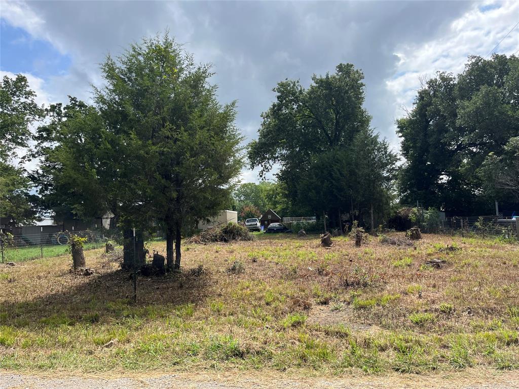 a view of a yard with a tree