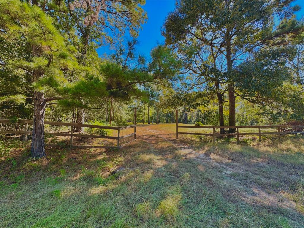 a view of backyard