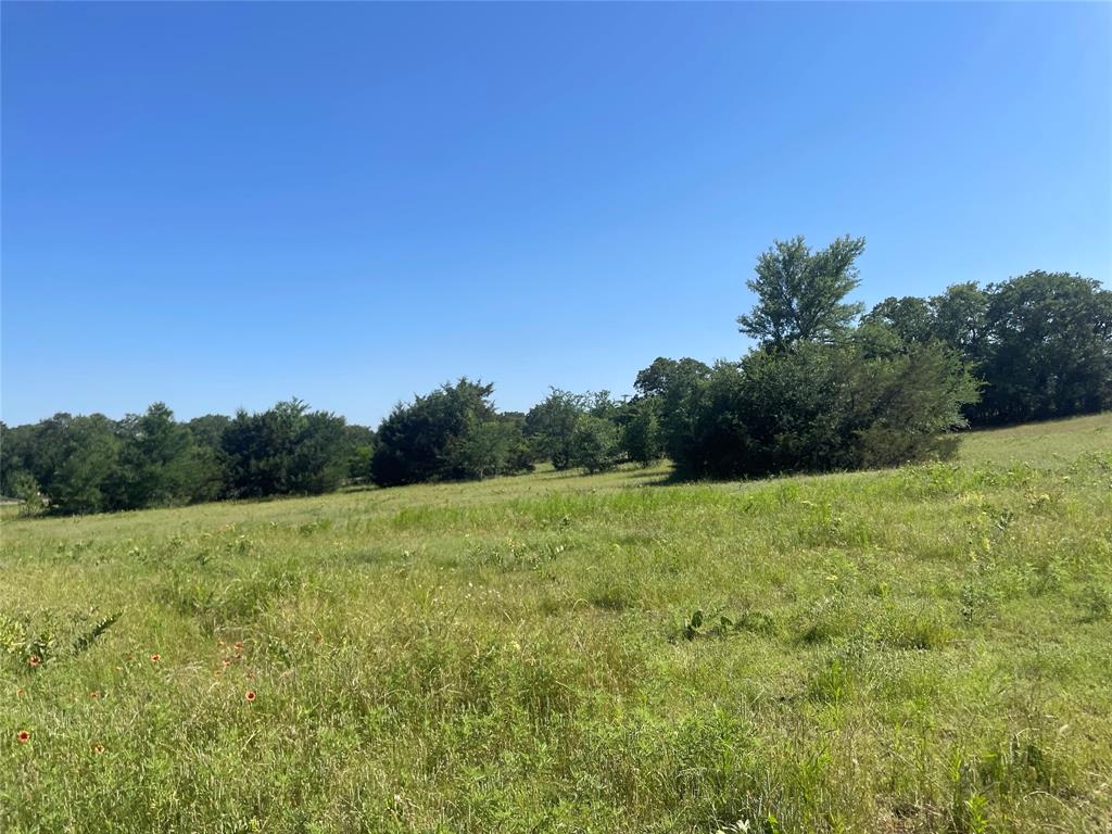 a view of field with trees in the background