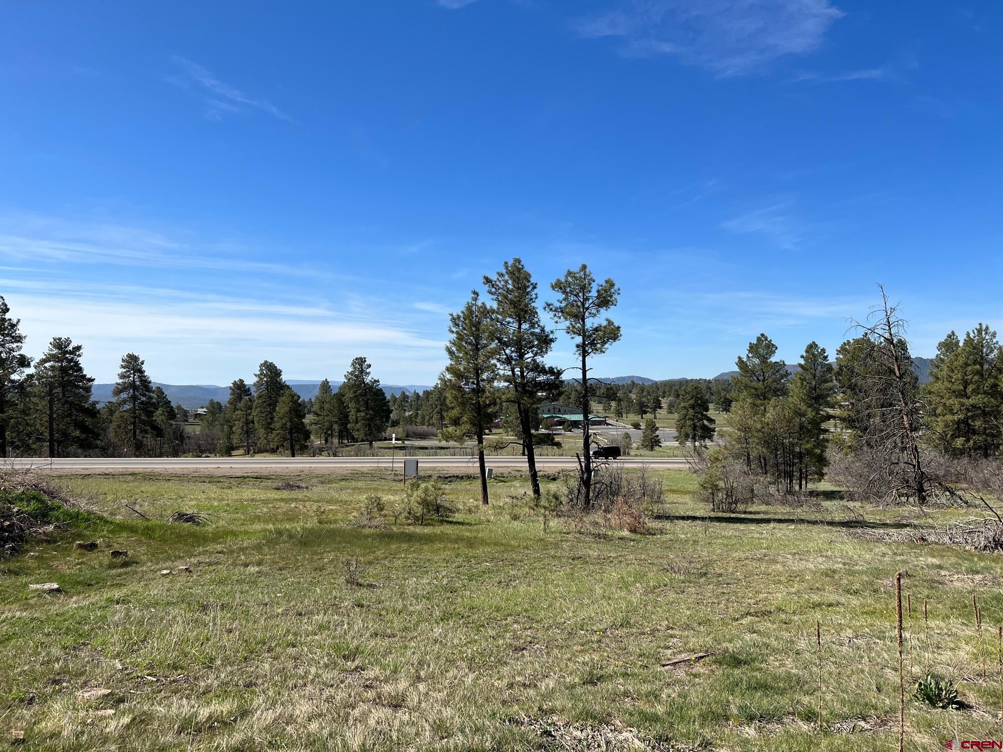 a view of a field with trees in the background