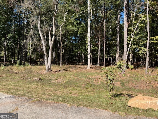 a view of outdoor space with garden