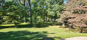 a view of backyard with green space