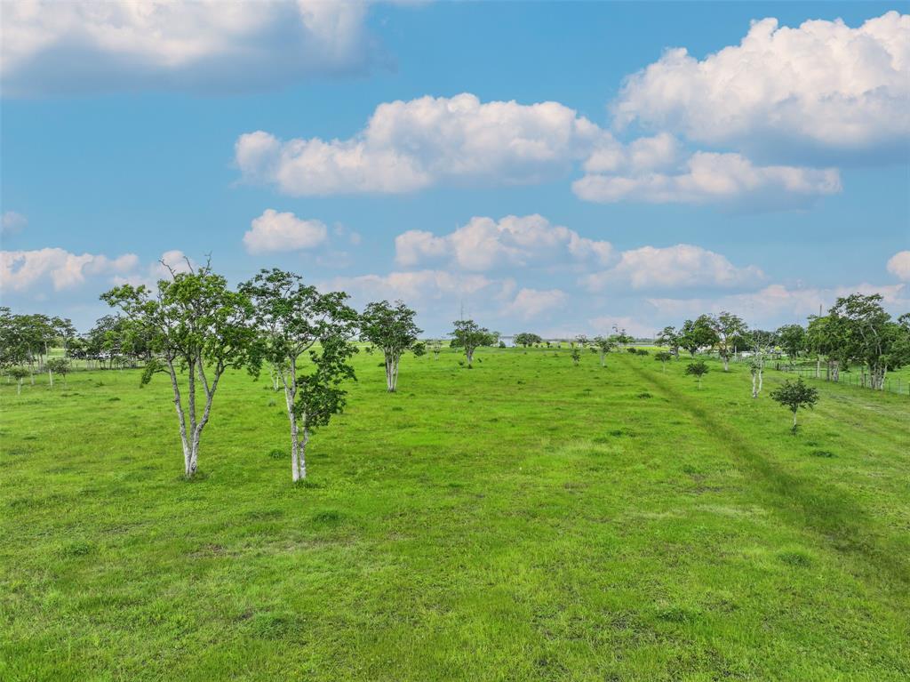 a view of a big yard