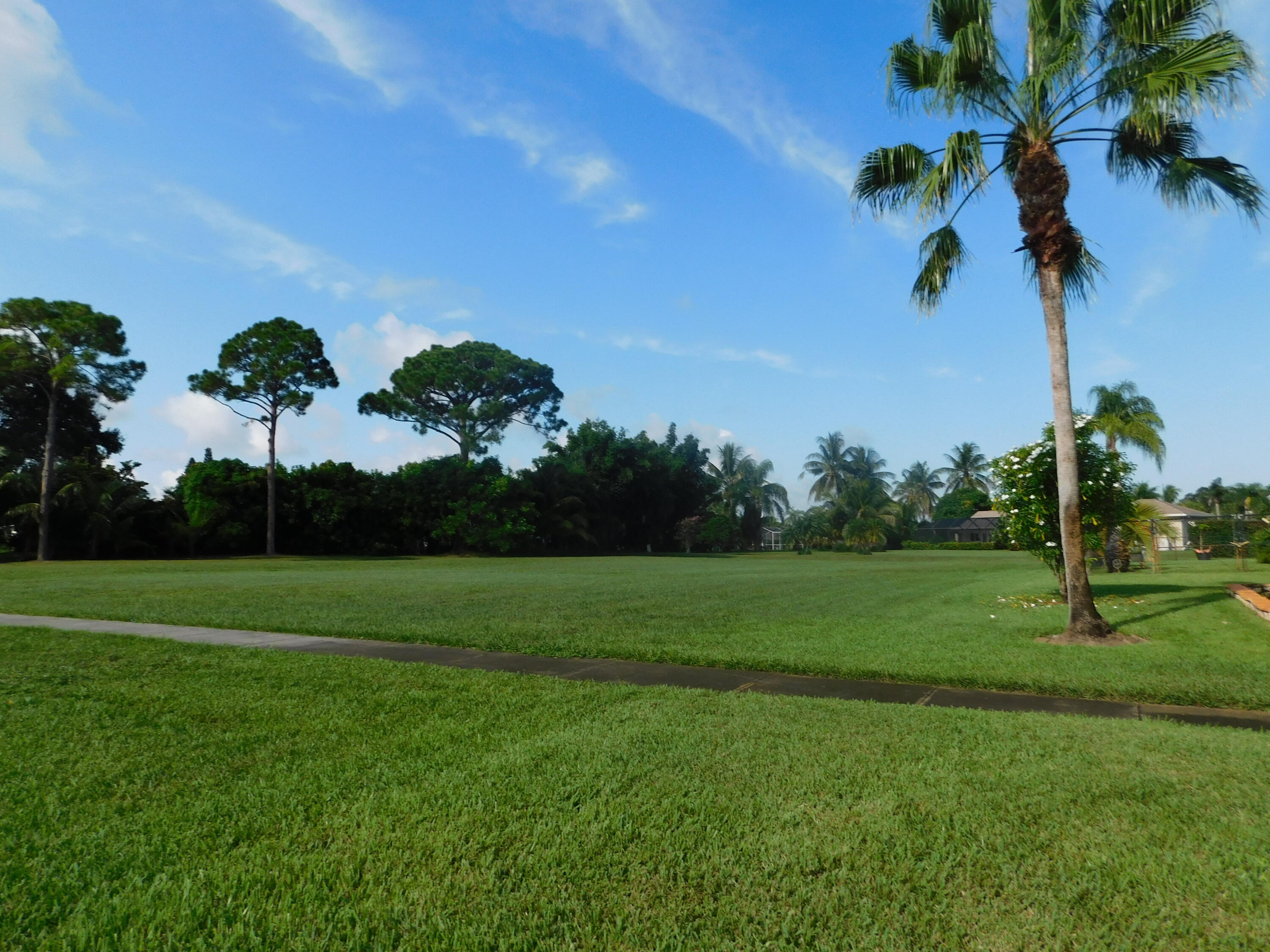 a view of a park and trees