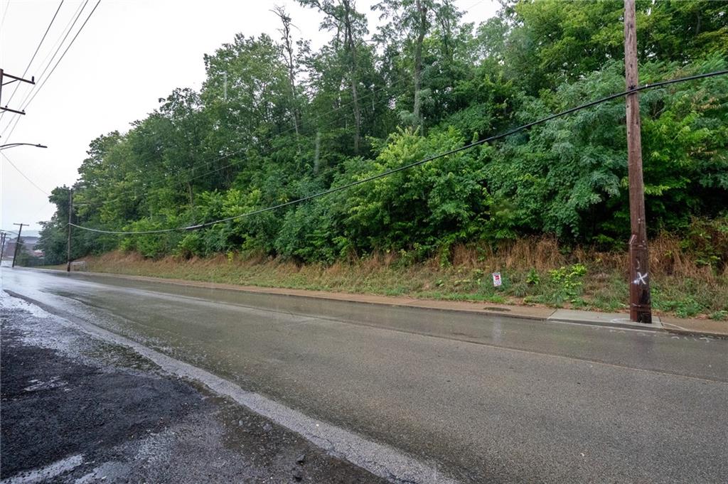 a view of a road from a yard