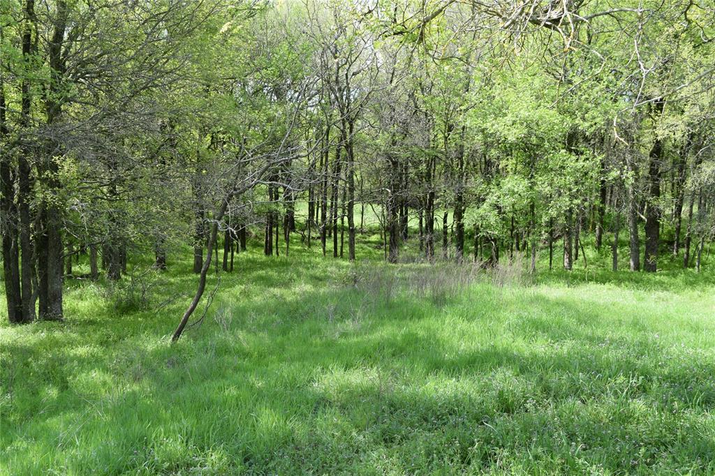 a view of outdoor space with green field and trees