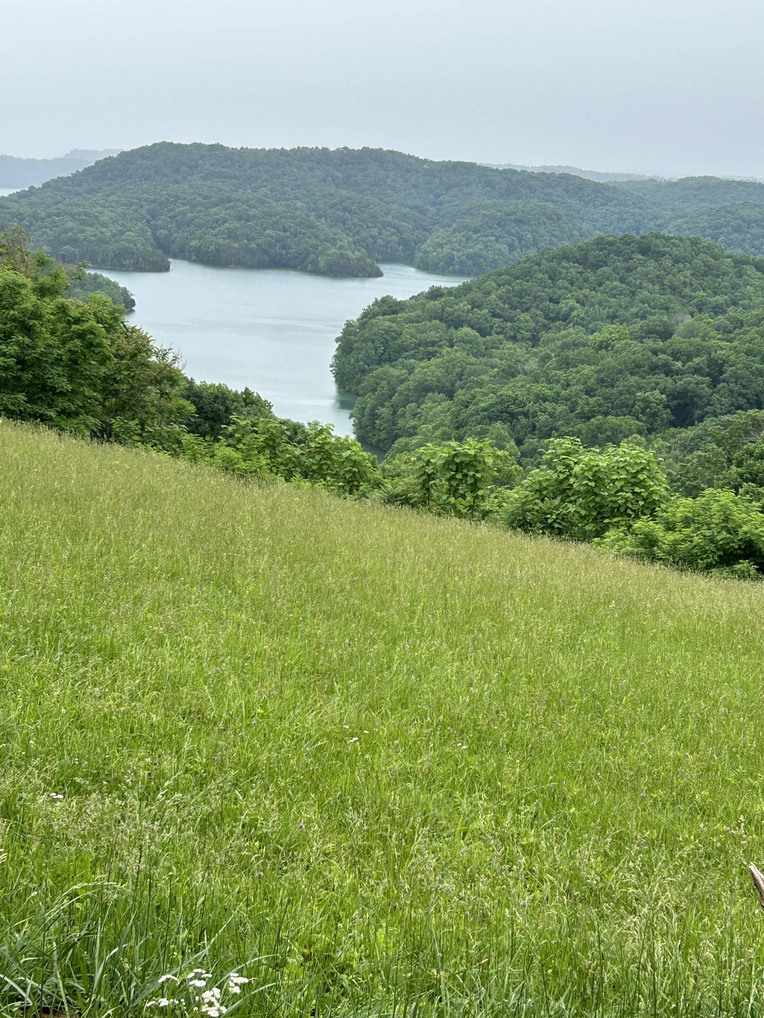 a view of lake with mountain