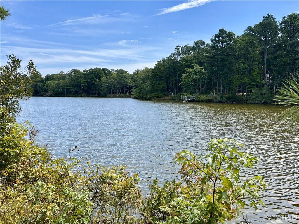 a view of a lake with large trees