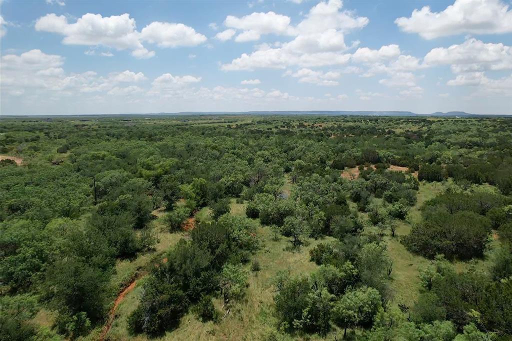 an aerial view of houses covered in trees