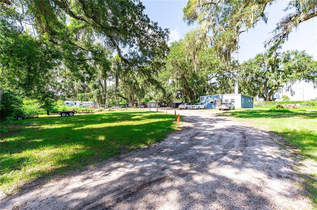 a view of a park with large trees