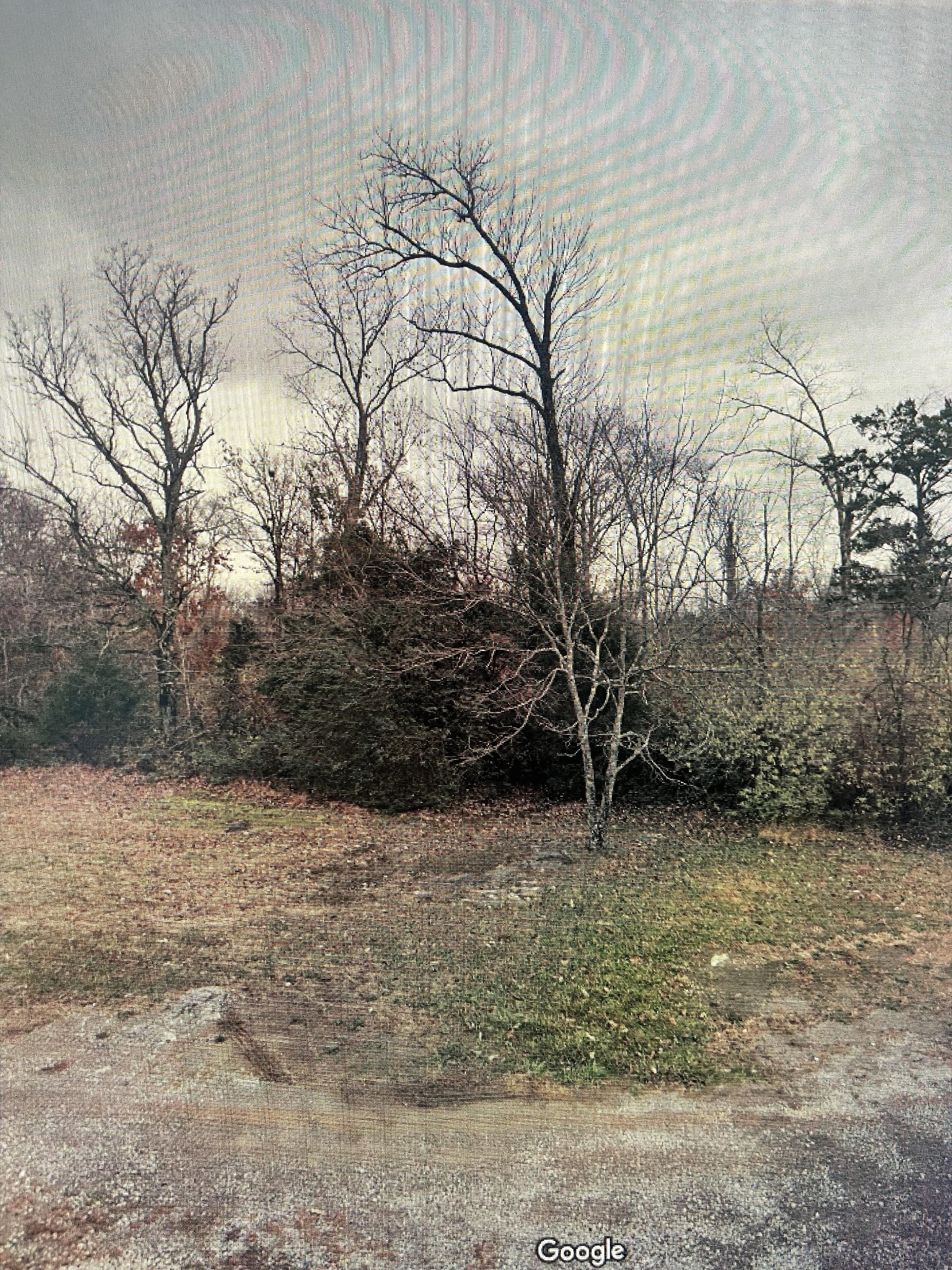 a view of a yard with wooden fence