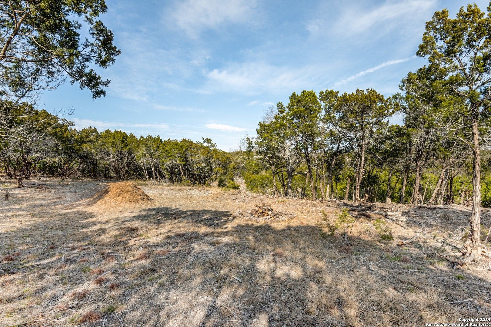 a view of dirt yard with large trees