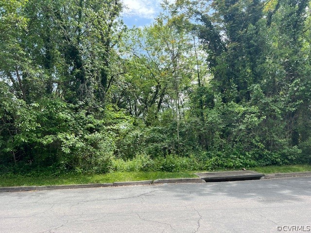 a view of a yard with plants