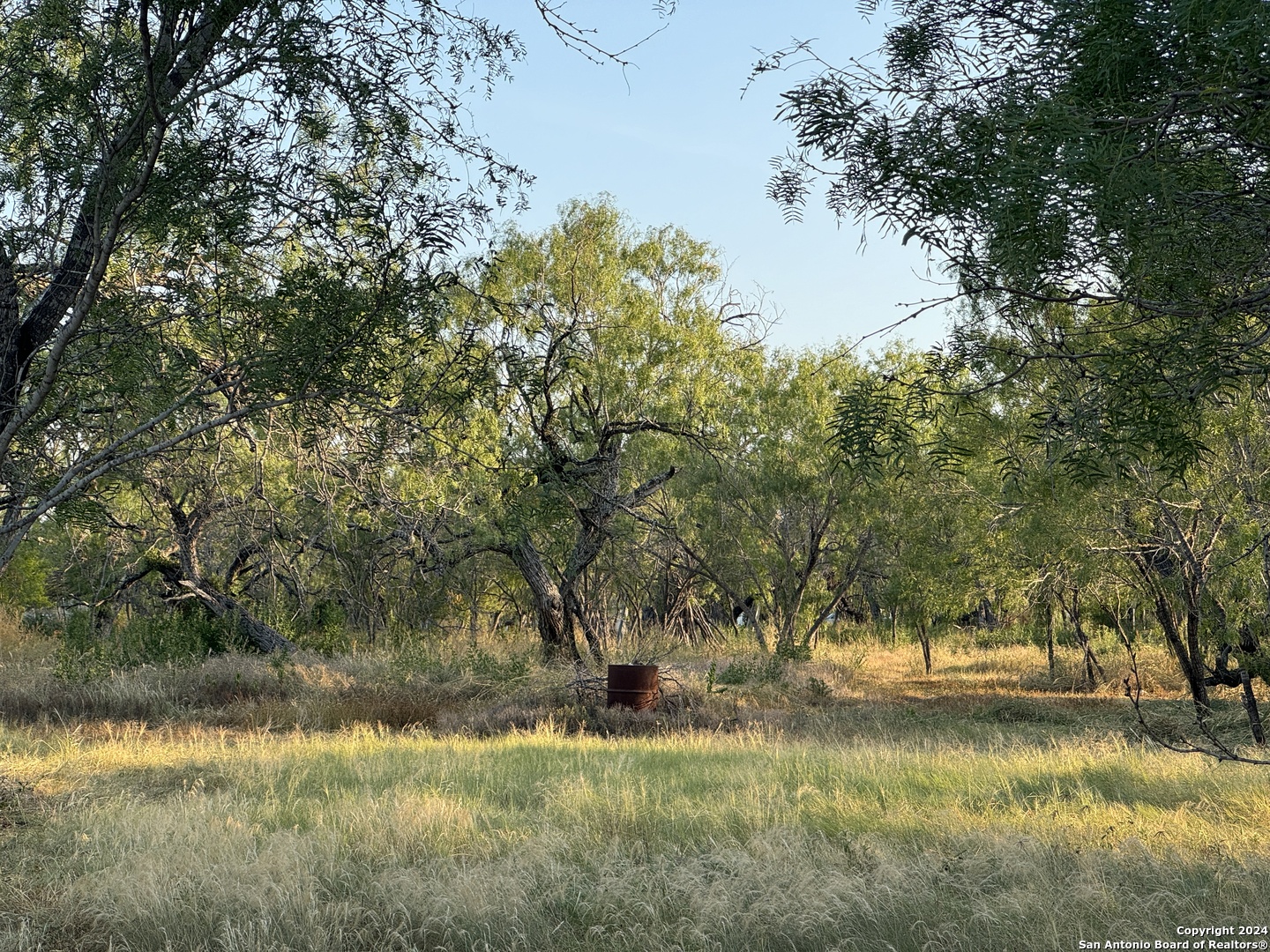 a view of back yard