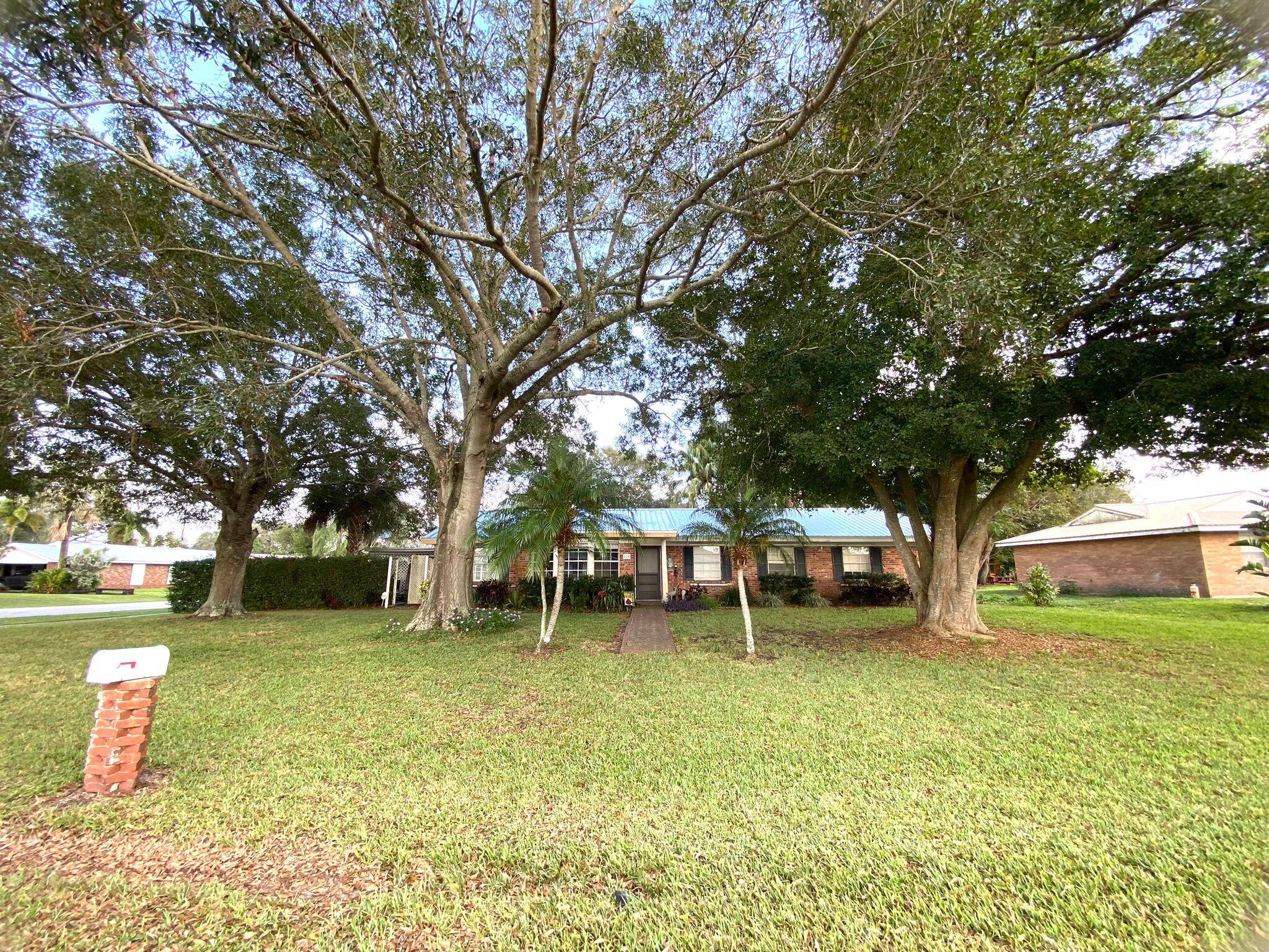 a view of a tree in front of a house with a big yard