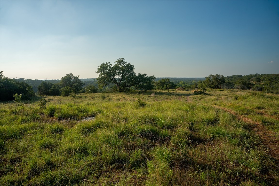 a view of a field with trees in background