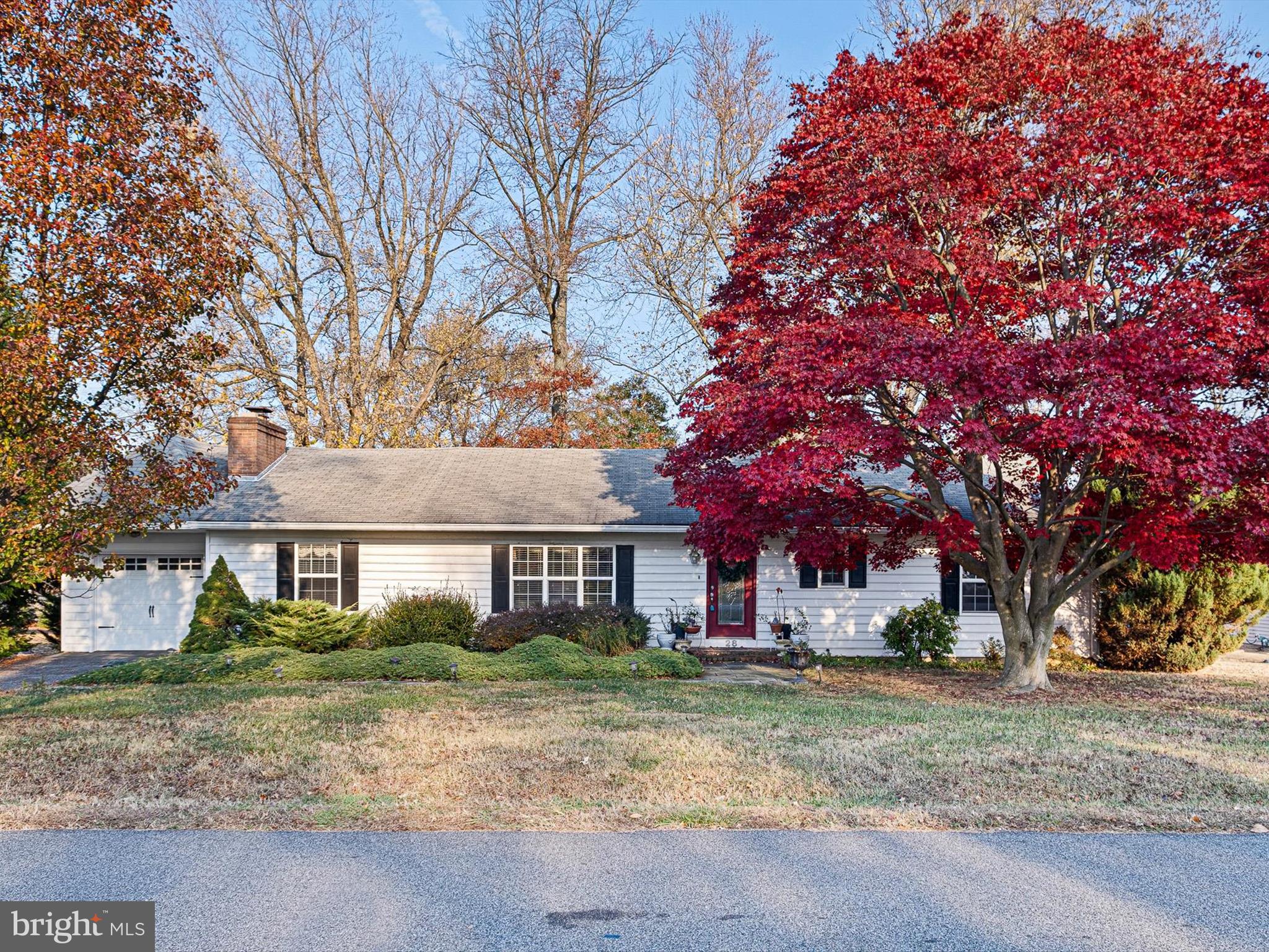 a view of a yard in front of a house