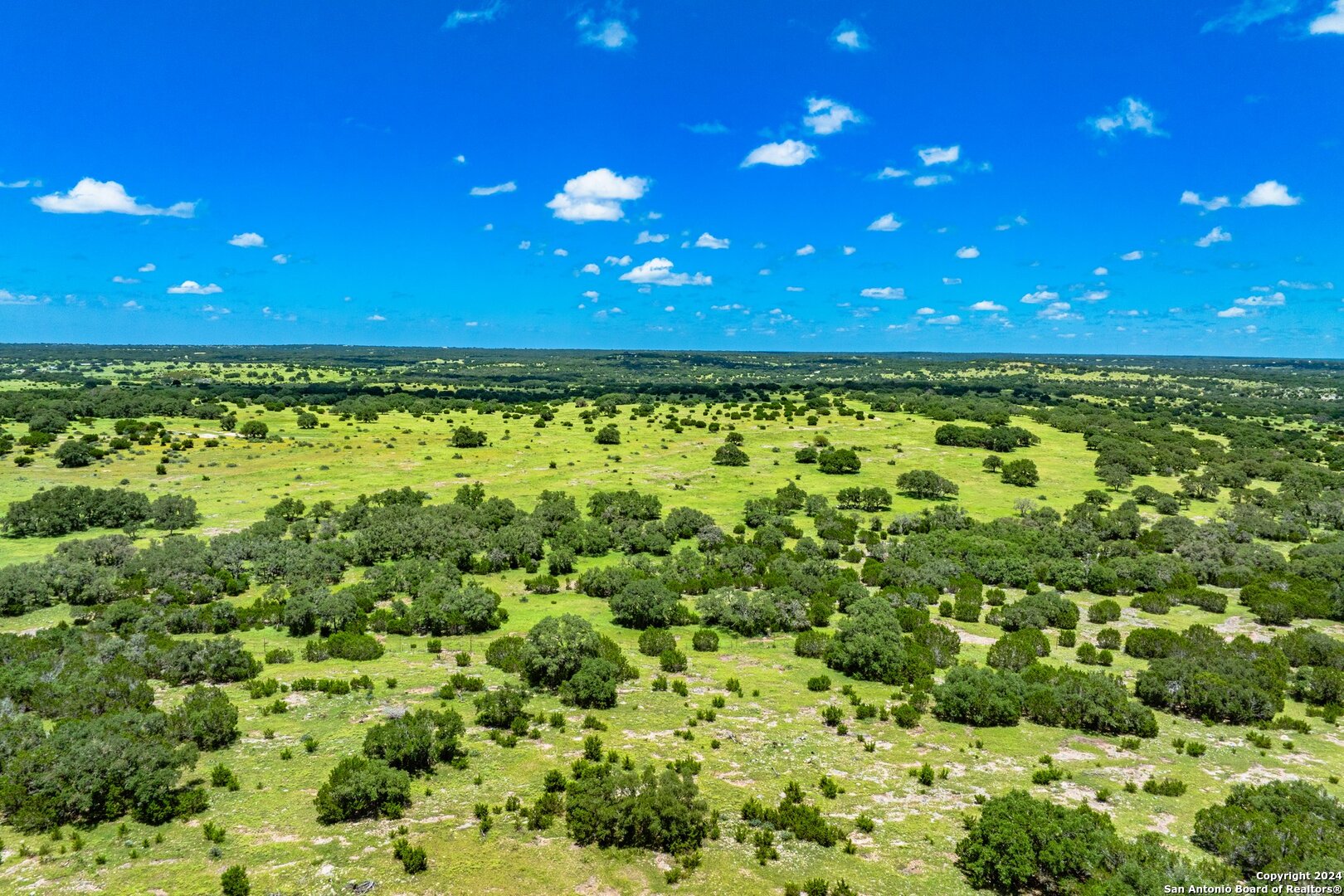 a view of a green yard