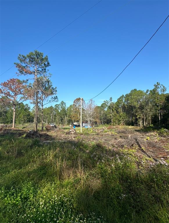 a view of a field with an trees