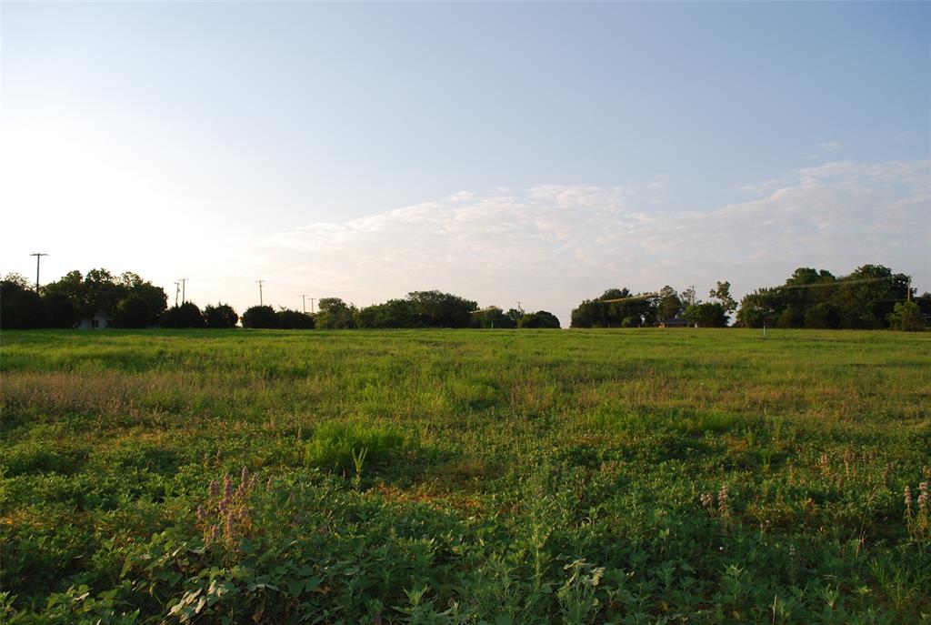 a view of a grassy field