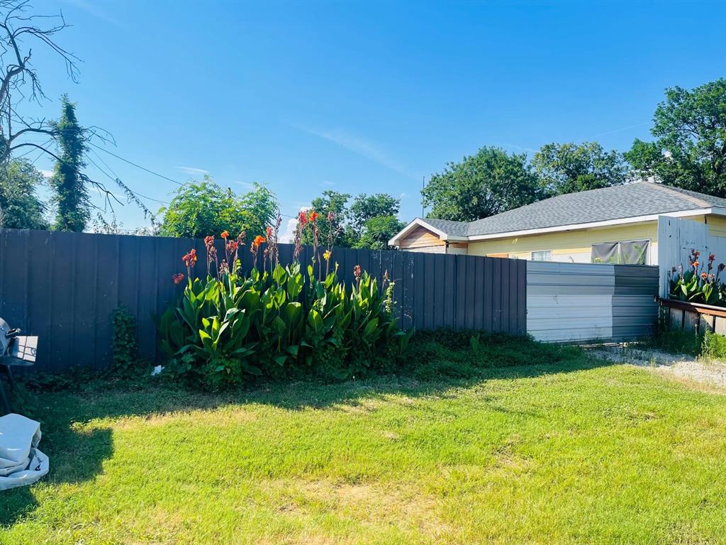 a view of a backyard with plants and large trees