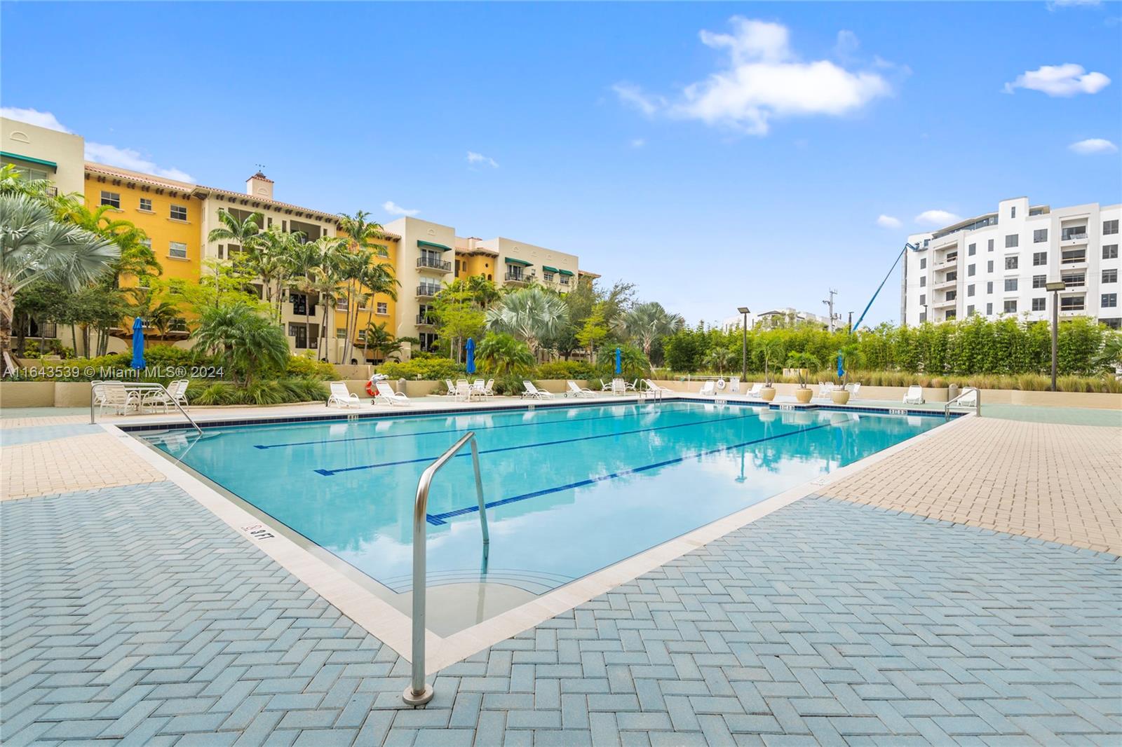 Olympic Size Heated Pool