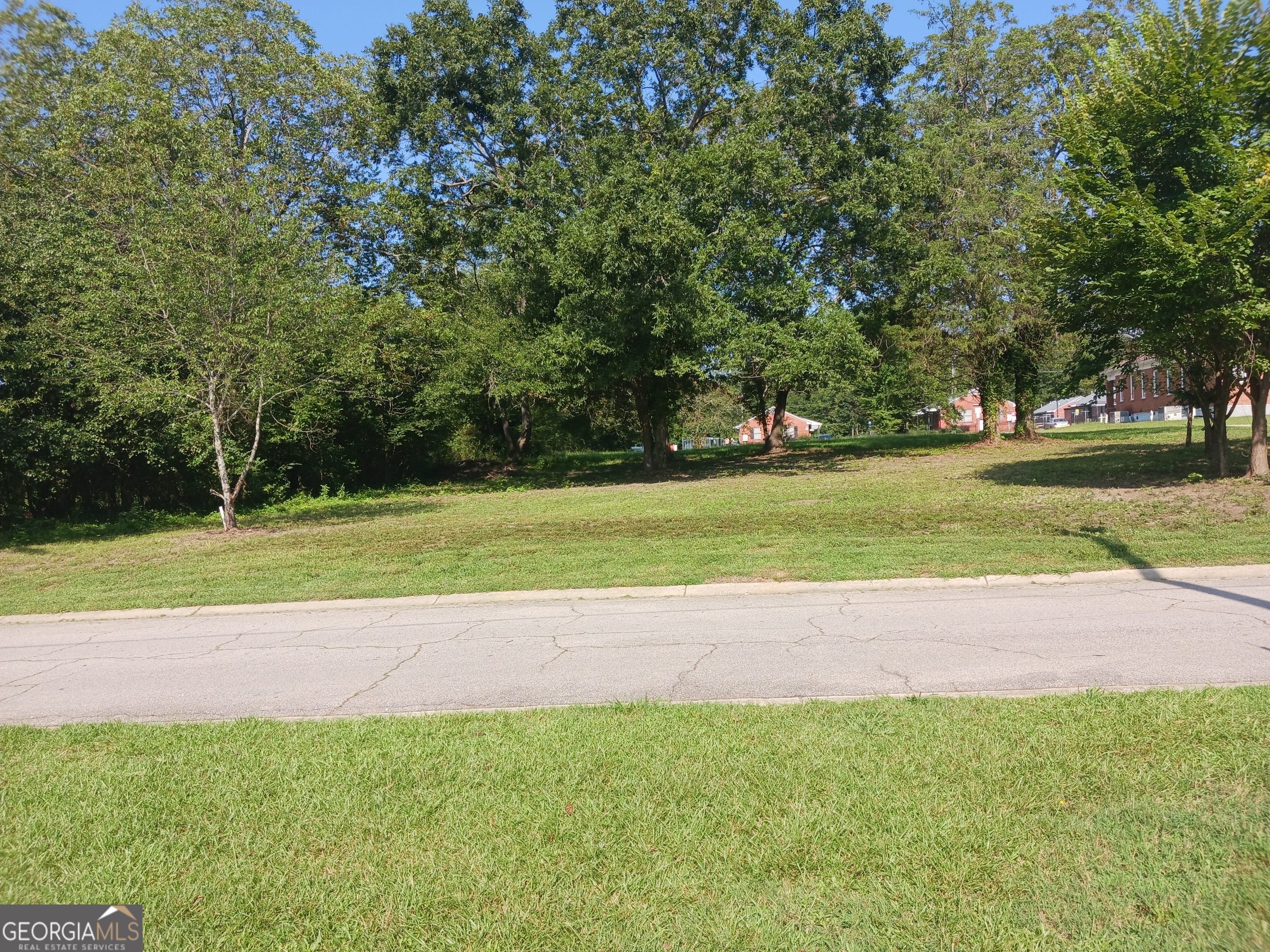 a view of a tennis ground with a large trees