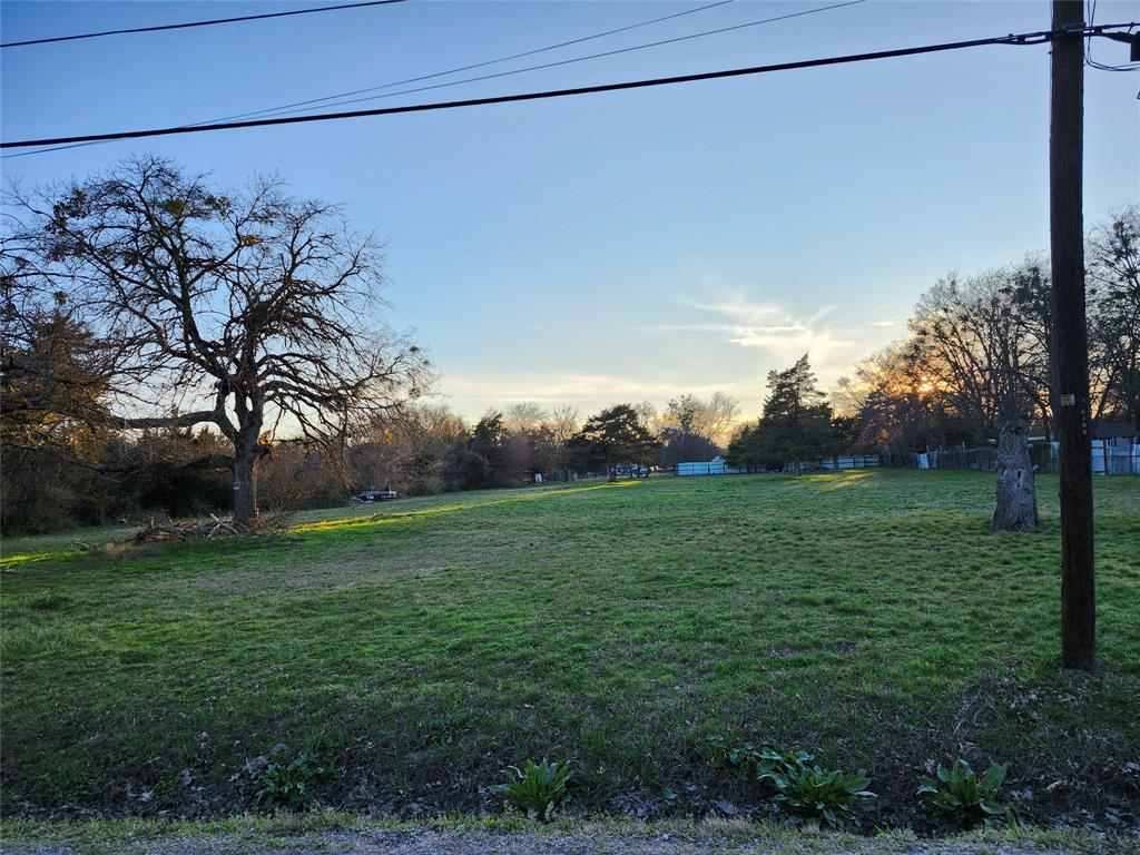 a view of a yard with a tree in the background