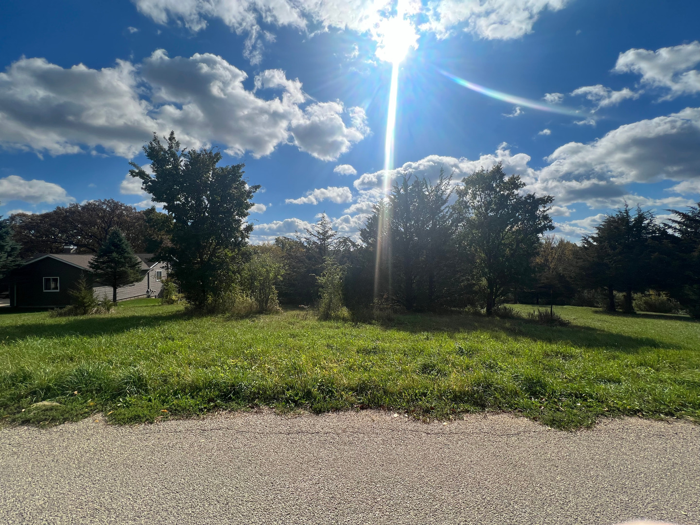 a view of a garden