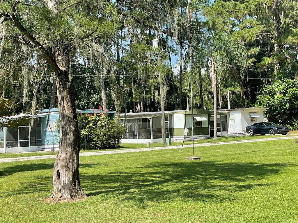 a view of a park with large trees