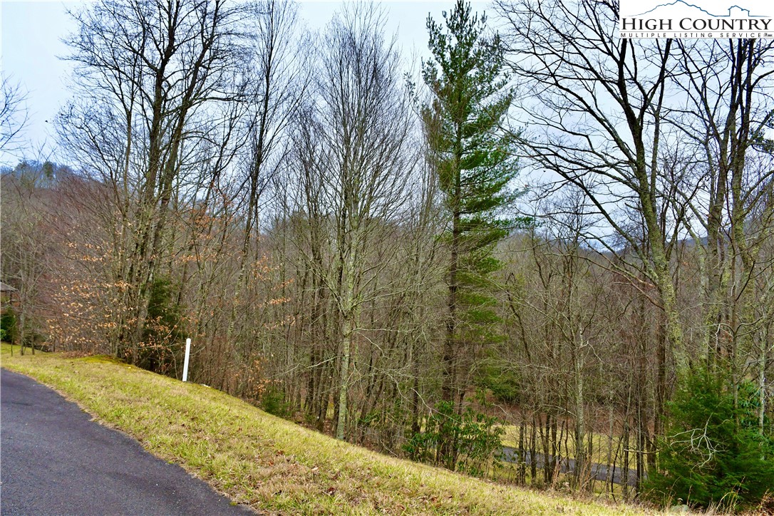 a view of a pathway of a yard