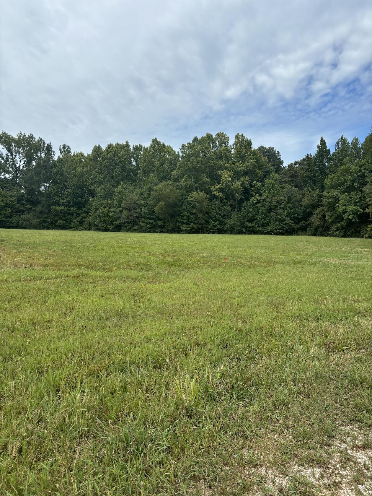 View of landscape featuring a rural view