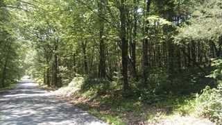 a view of outdoor space and trees all around