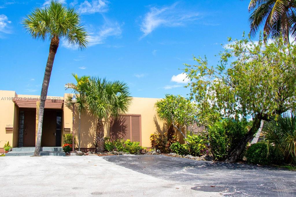 a couple of palm trees in front of door