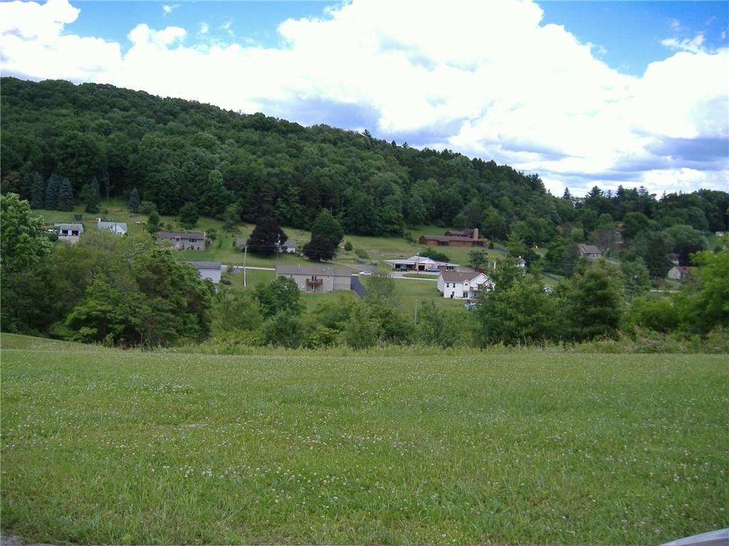 a view of a lush green field with lots of bushes