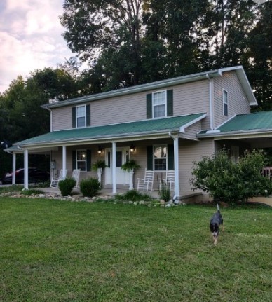 a view of a brick house with a yard potted plants and a large tree