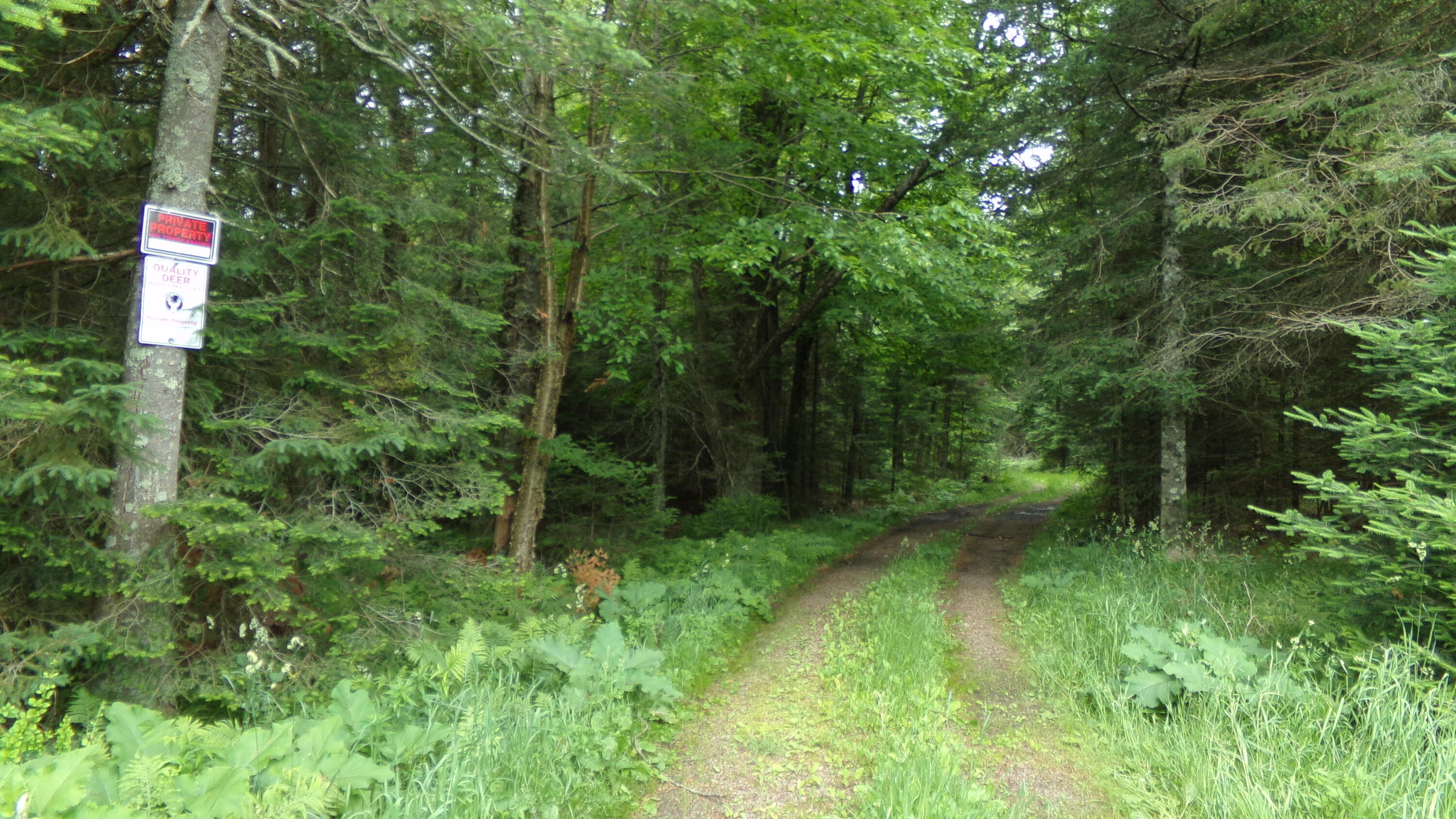 Entrance Easement