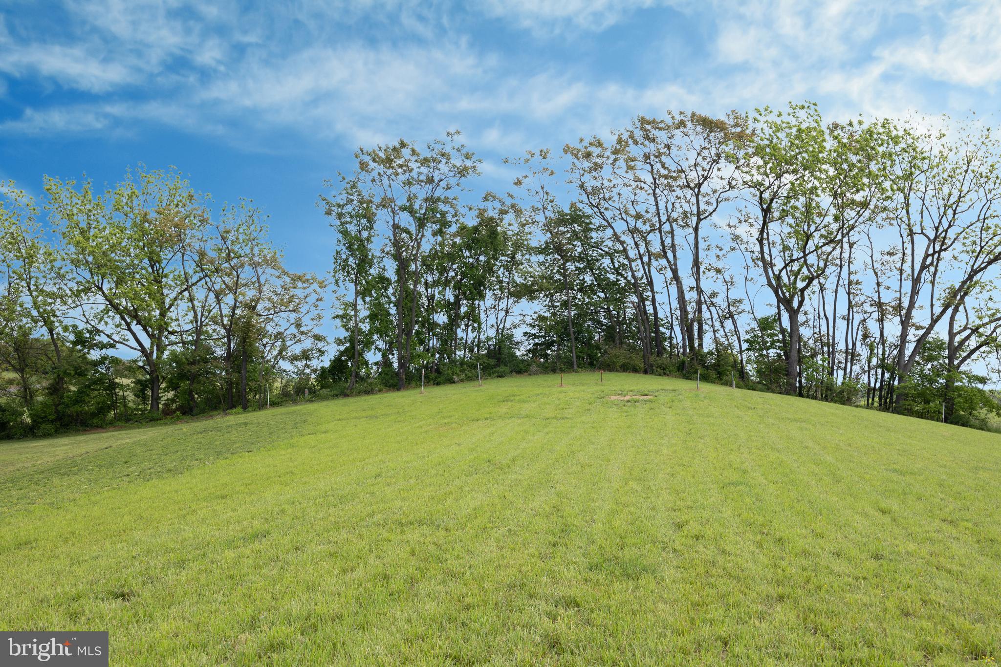 a view of a field with an trees