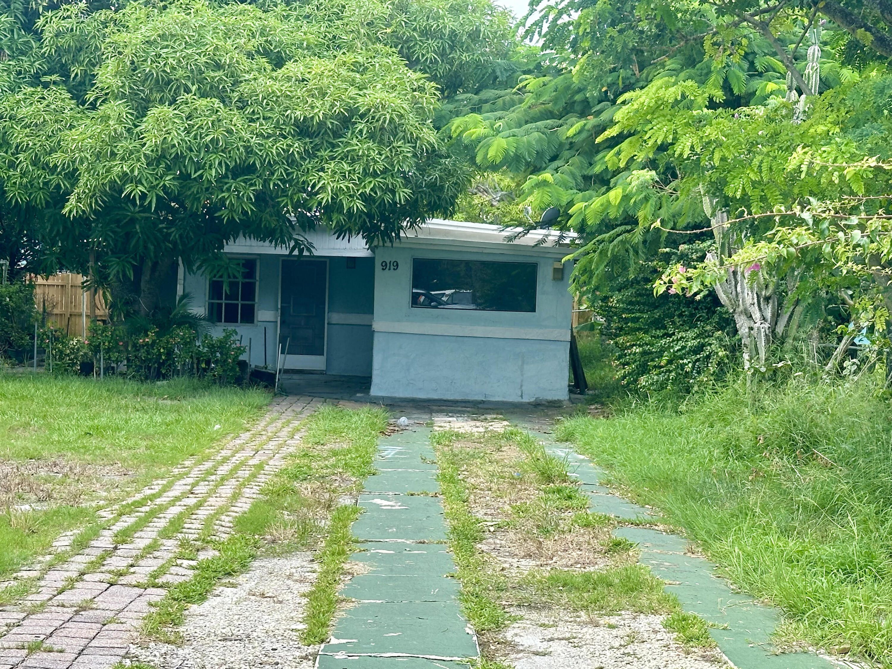 a backyard of a house with plants and large tree