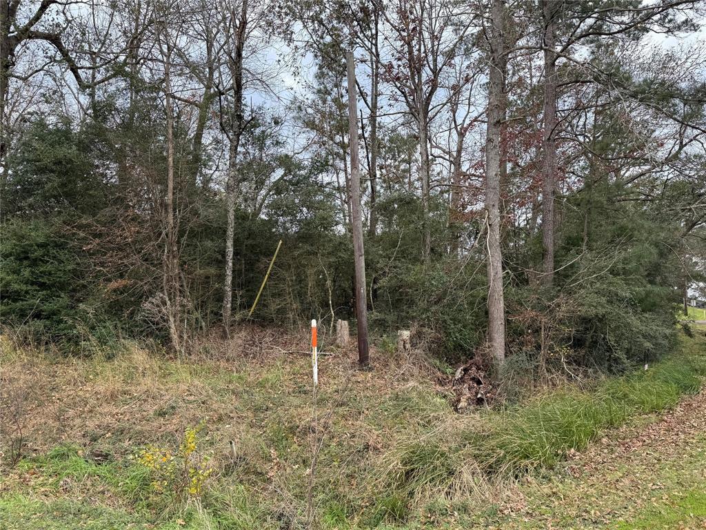 2 Adjacent lots in Cedar Point on Lake Livingston