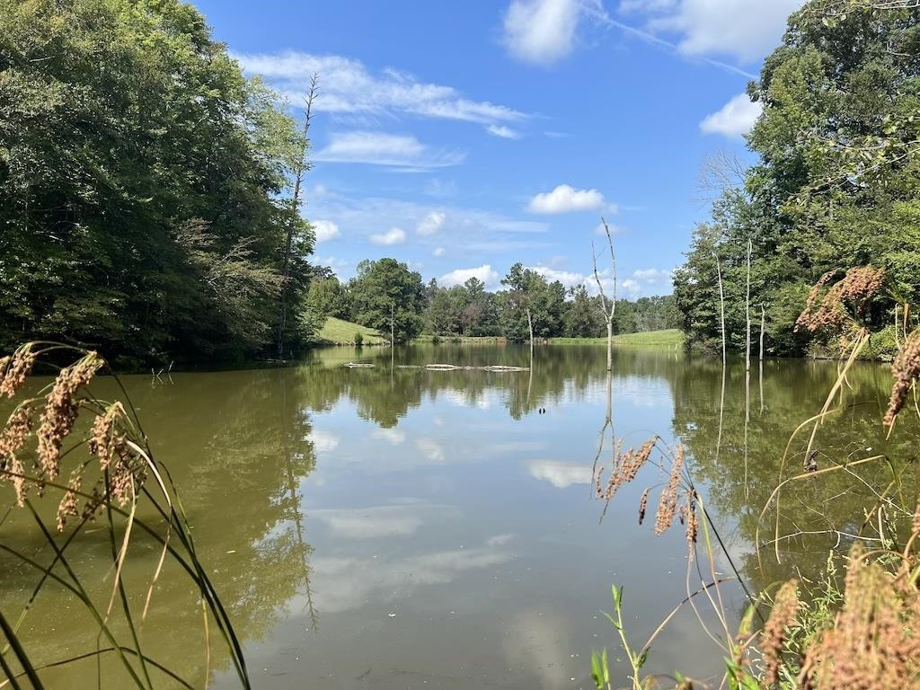 a view of a lake with a yard