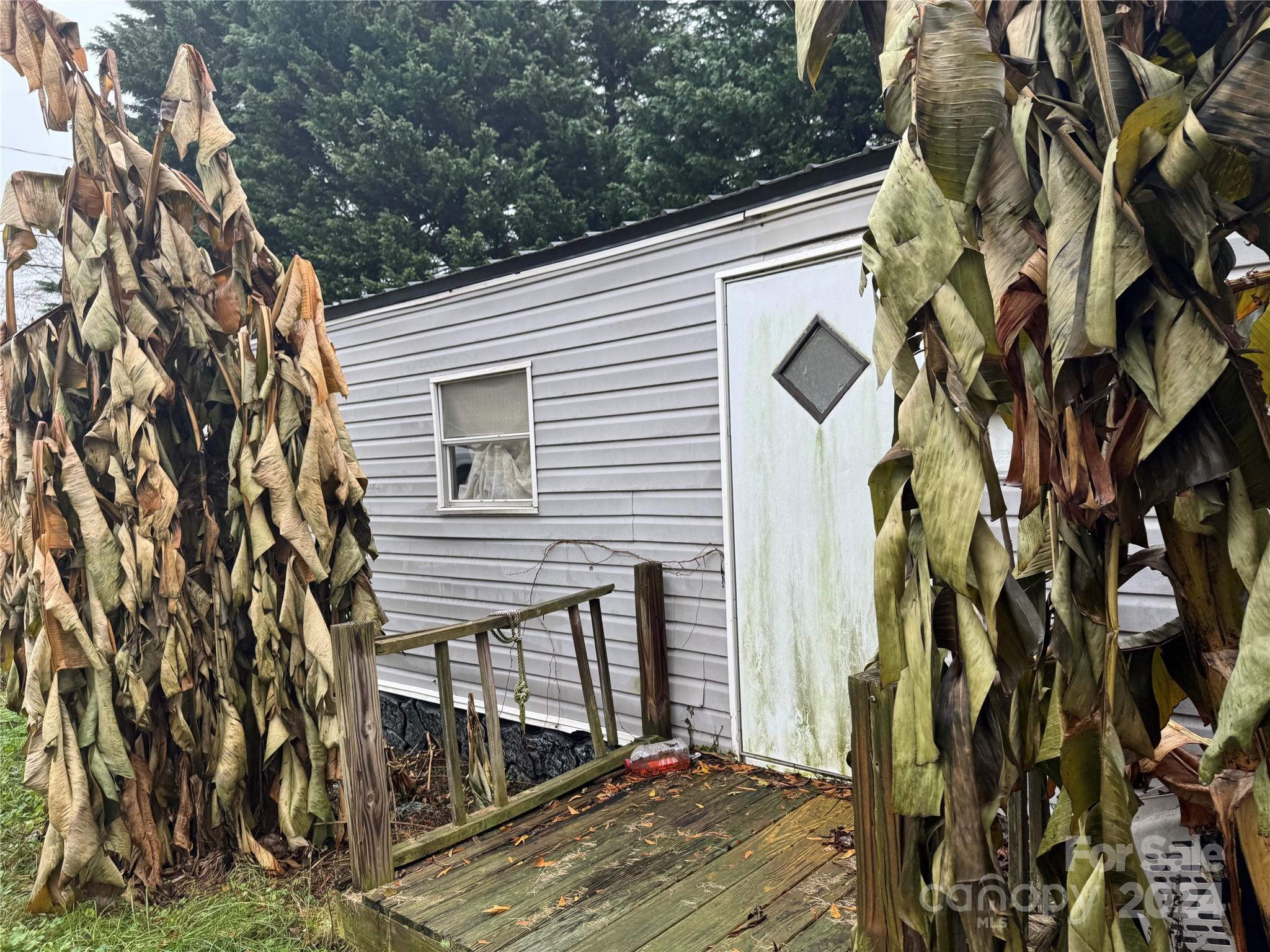 a view of a house with a tree