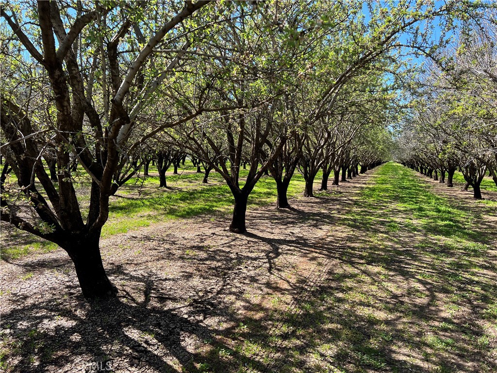 a view of outdoor space with trees