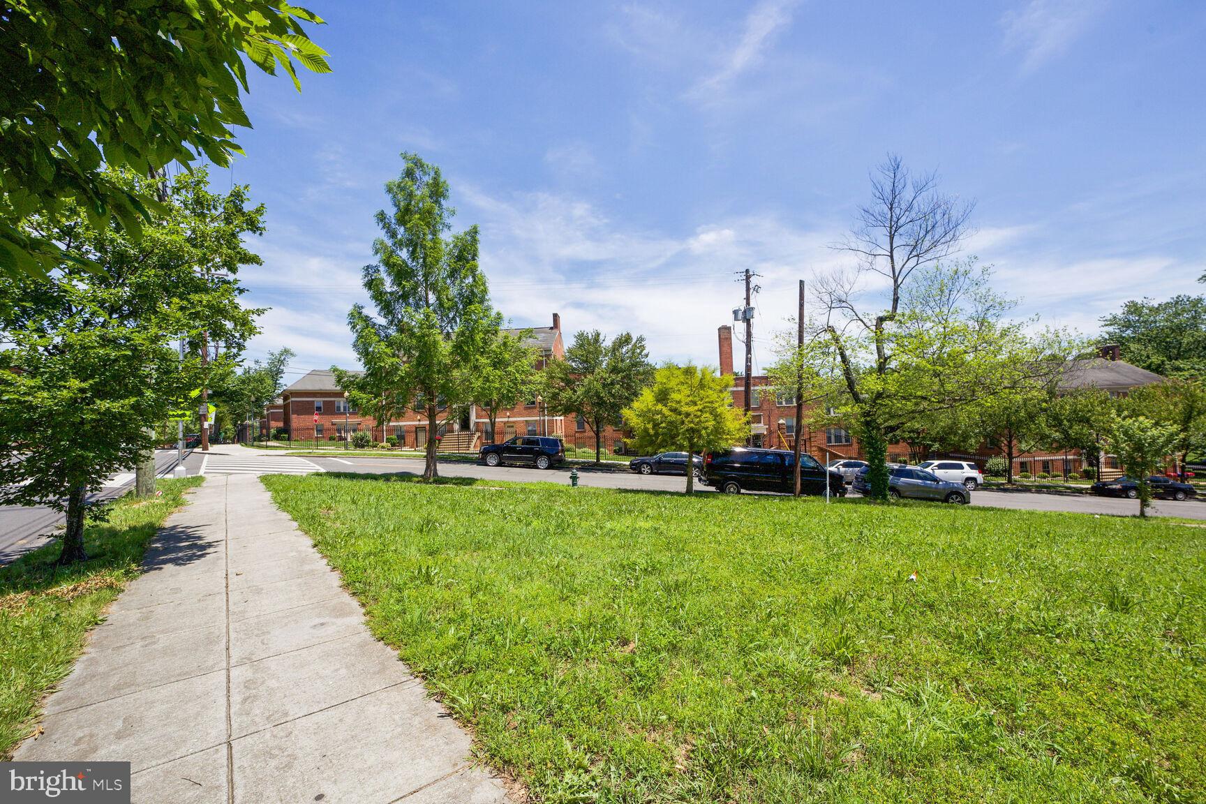 a view of a park with plants and trees