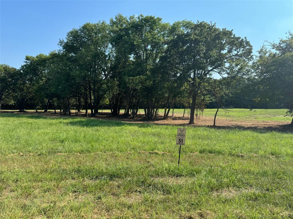 a view of green field