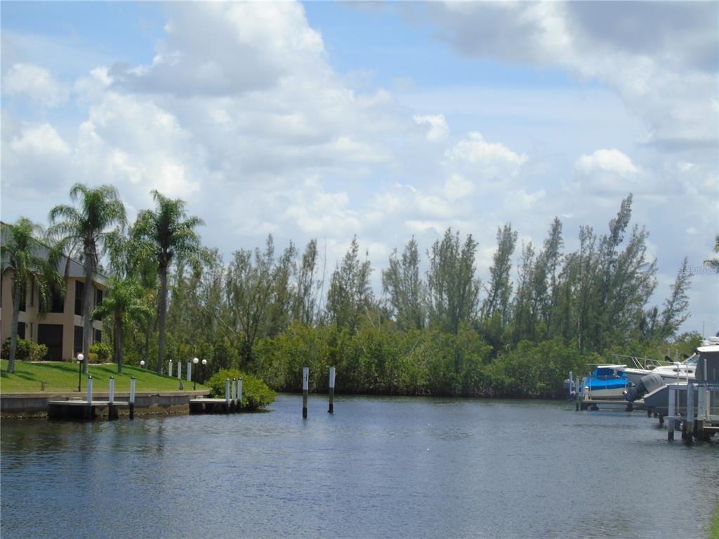 a view of a lake with trees in the background